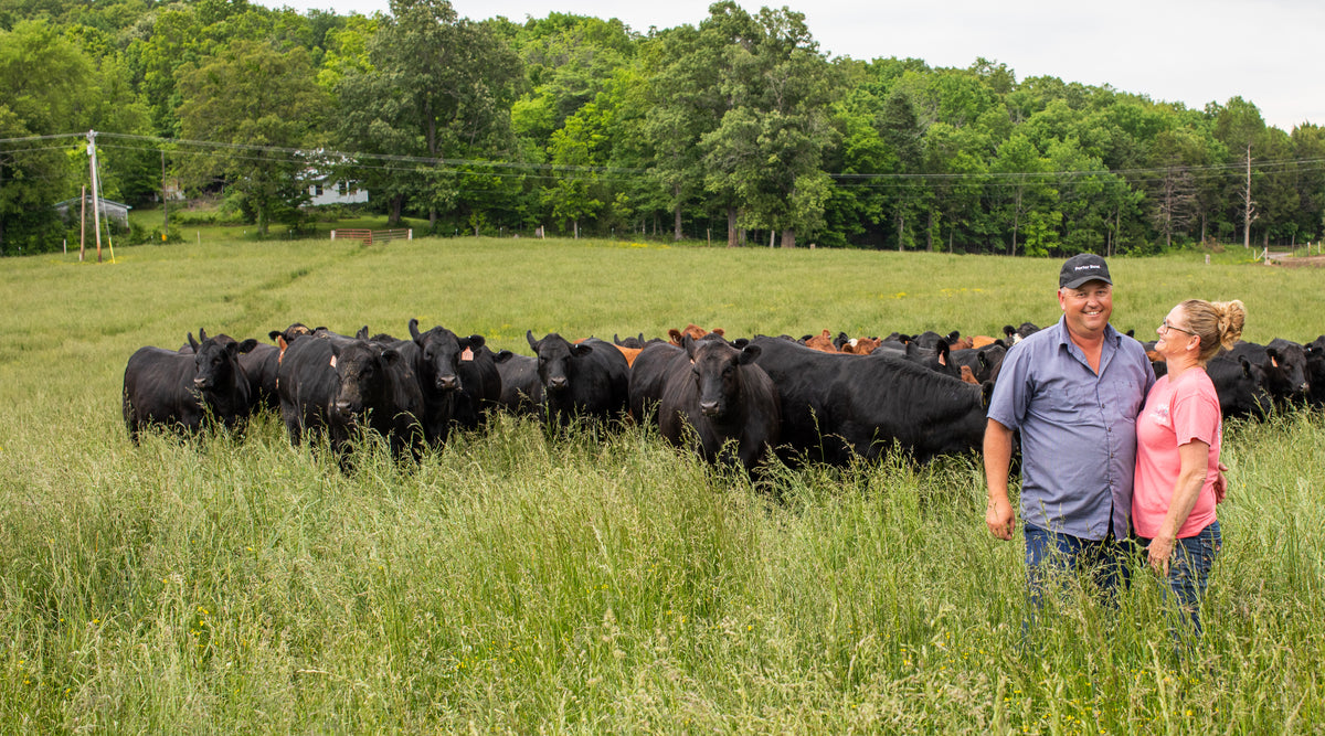 Porter Road farmers standing in a lush pasture with cattle, wearing Porter Road caps